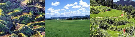 ECHIGO-TSUMARI Art Triennial